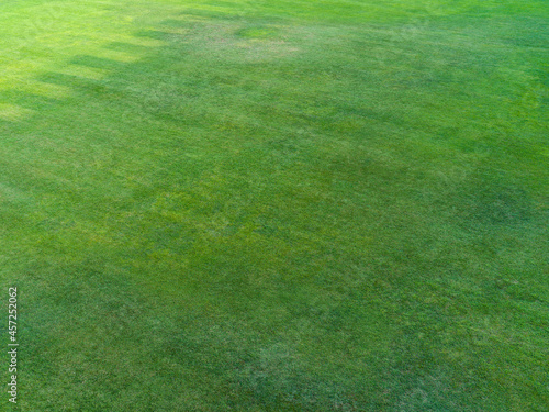 Texture of a green lawn seen from above 