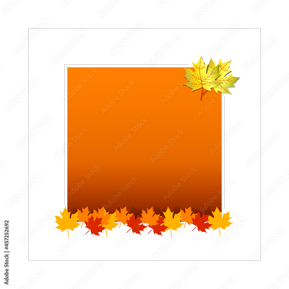 Autumn card design, orange blank space, maple leaves and golden maple leaves, clean and clear design with a white border.