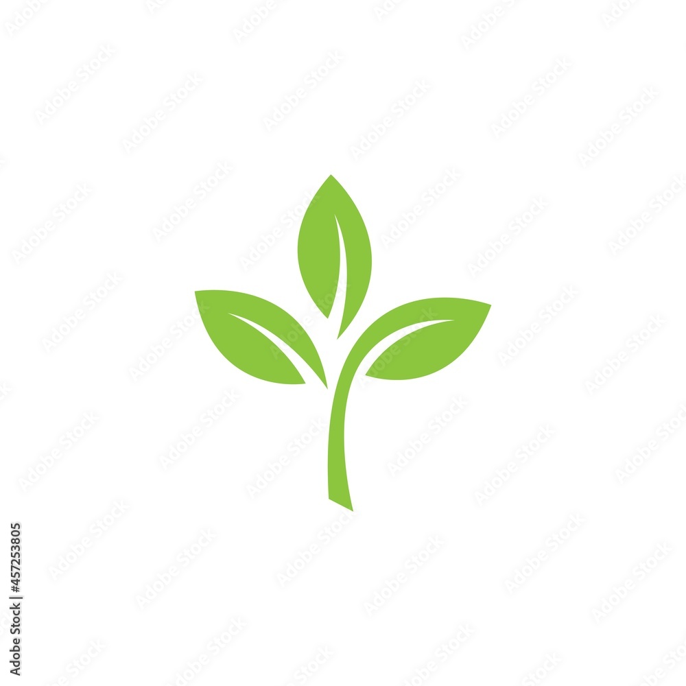green leaf illustration green leaf illustration
