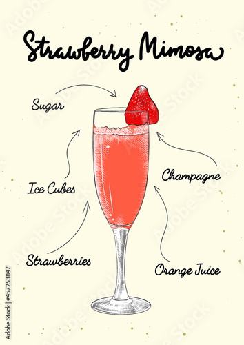 Vector engraved style Strawberry Mimosa cocktail illustration for posters, decoration, logo and print. Hand drawn sketch with lettering and recipe, beverage ingredients. Detailed colorful drawing.