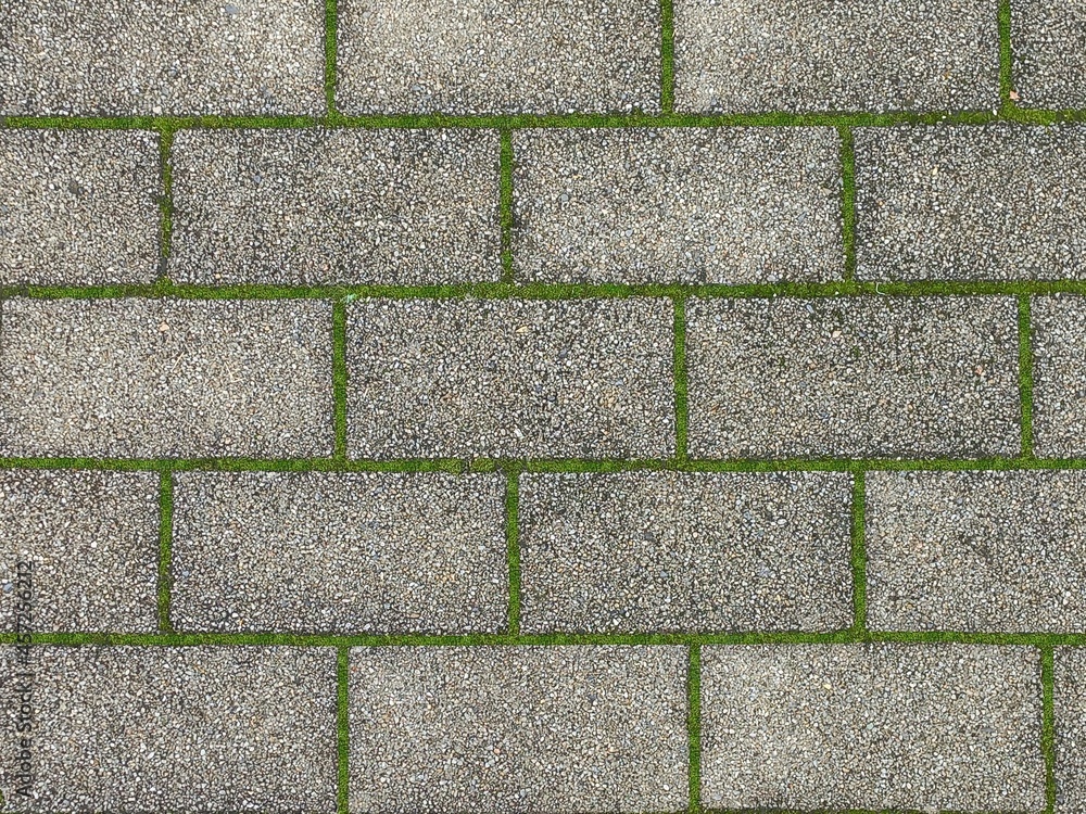 Fototapeta premium 블럭 사이로 자란 초록색 이끼들과 블럭