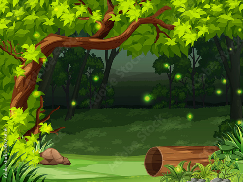 Enchanted forest landscape background