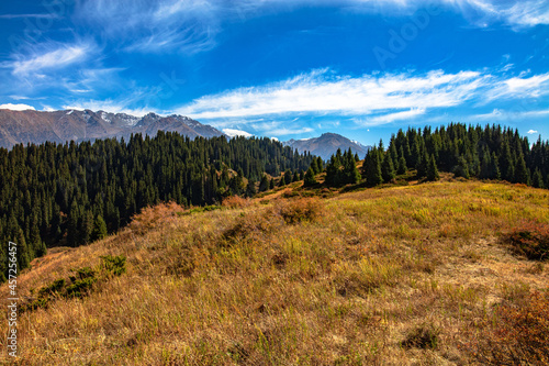 Fototapeta Naklejka Na Ścianę i Meble -  landscape in autumn