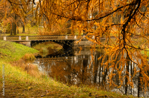 Autumn landscape with an old bridge over a pond and a yellow branch of a coniferous tree