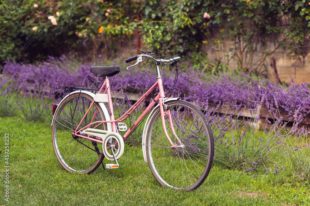 
Bicycle on a background of blooming lavender