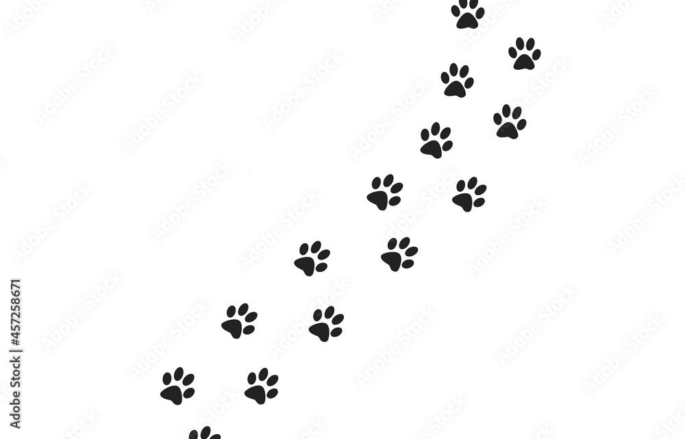 black animal tracks on a white background black animal tracks on a white background