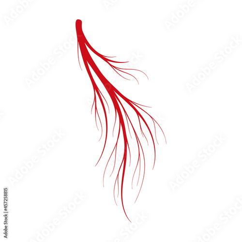 Vein of human vector cartoon icon. Vector illustration artery of blood on white background. Isolated cartoon illustration icon of vein of human .