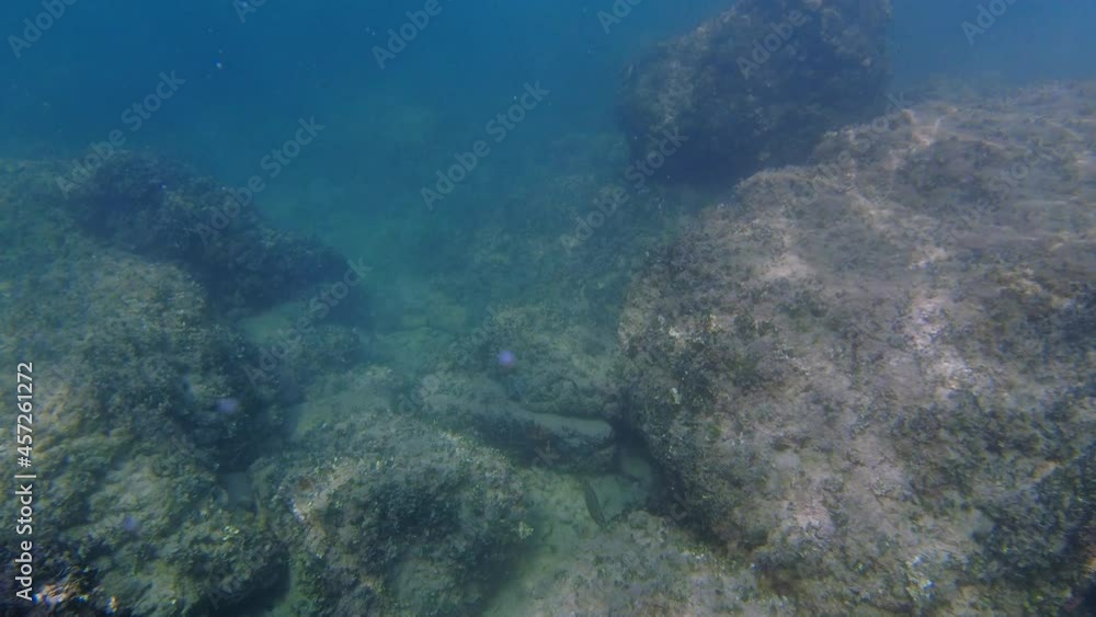 POV of scuba diving in Adriatic Sea. Underwater view of seabed with huge boulders. Low visibility due the particles floating beneath the water. Looking down on fish in seawater. Handheld, slow motion POV of scuba diving in Adriatic Sea. Underwater view of seabed with huge boulders. Low visibility due the particles floating beneath the water. Looking down on fish in seawater. Handheld, slow motion