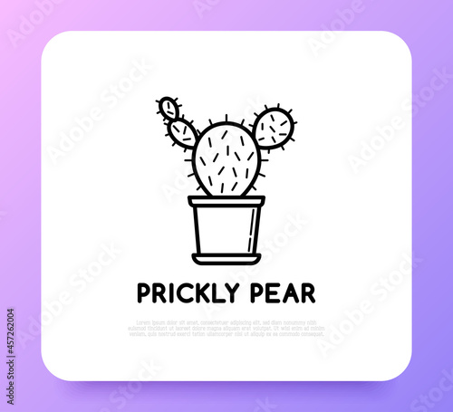 Cactus in pot thin line icon. Modern vector illustration of home plant.