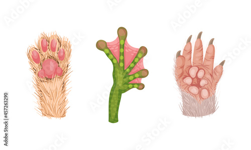 Animal Limb with Primate Hairy Paw and Cat Foot Vector Set