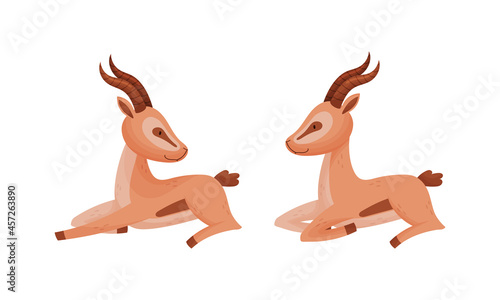 Sitting African Gazelle as Fawn-colored Antelope Species with Curved Horn Vector Set