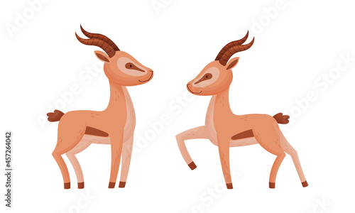 Standing African Gazelle as Fawn-colored Antelope Species with Curved Horn Vector Set