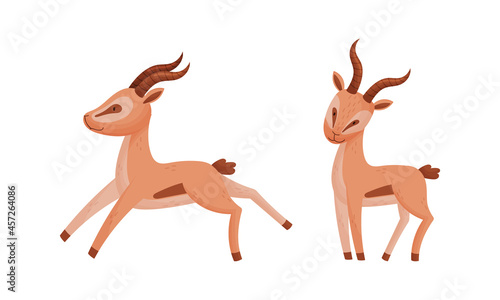 Standing African Gazelle as Fawn-colored Antelope Species with Curved Horn Vector Set