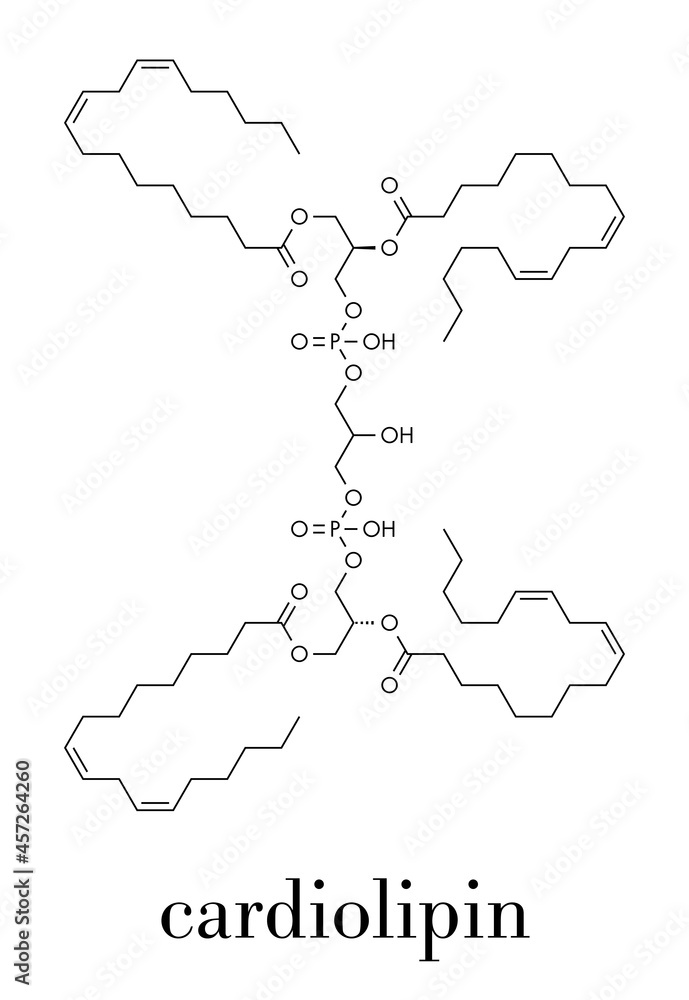 Diphosphatidylglycerol Structure