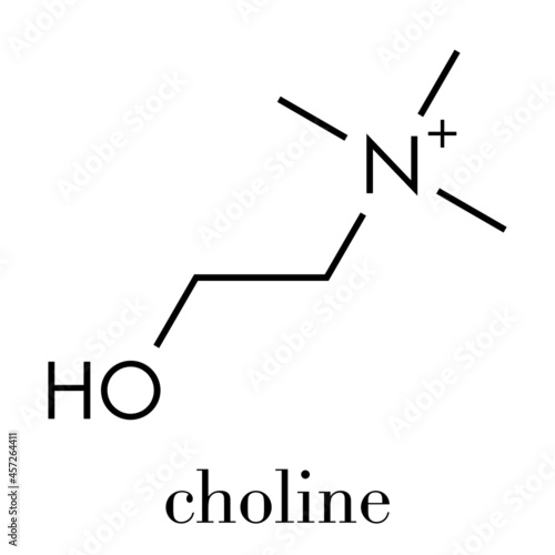 Choline essential nutrient molecule. Skeletal formula.