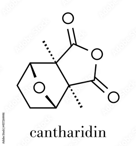 Cantharidin blister beetle poison molecule. Secreted by blister beetles, spanish fly, soldier beetles, etc. Skeletal formula.