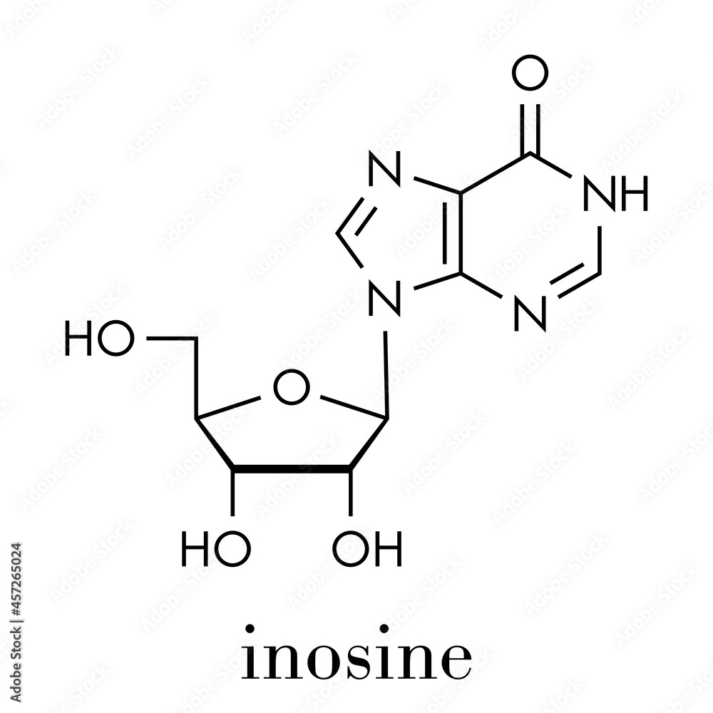 Inosine nucleoside molecule. Found in tRNA. Used as fitness nutritional supplement. Skeletal formula.