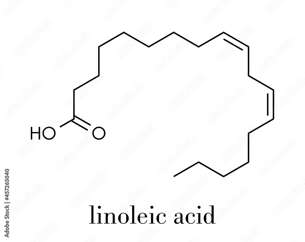 Linoleic acid (LA) molecule. Omega6 polynsaturated fatty acid. Skeletal formula. Stock Vector