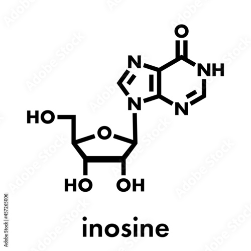 Inosine nucleoside molecule. Found in tRNA. Used as fitness nutritional supplement. Skeletal formula.