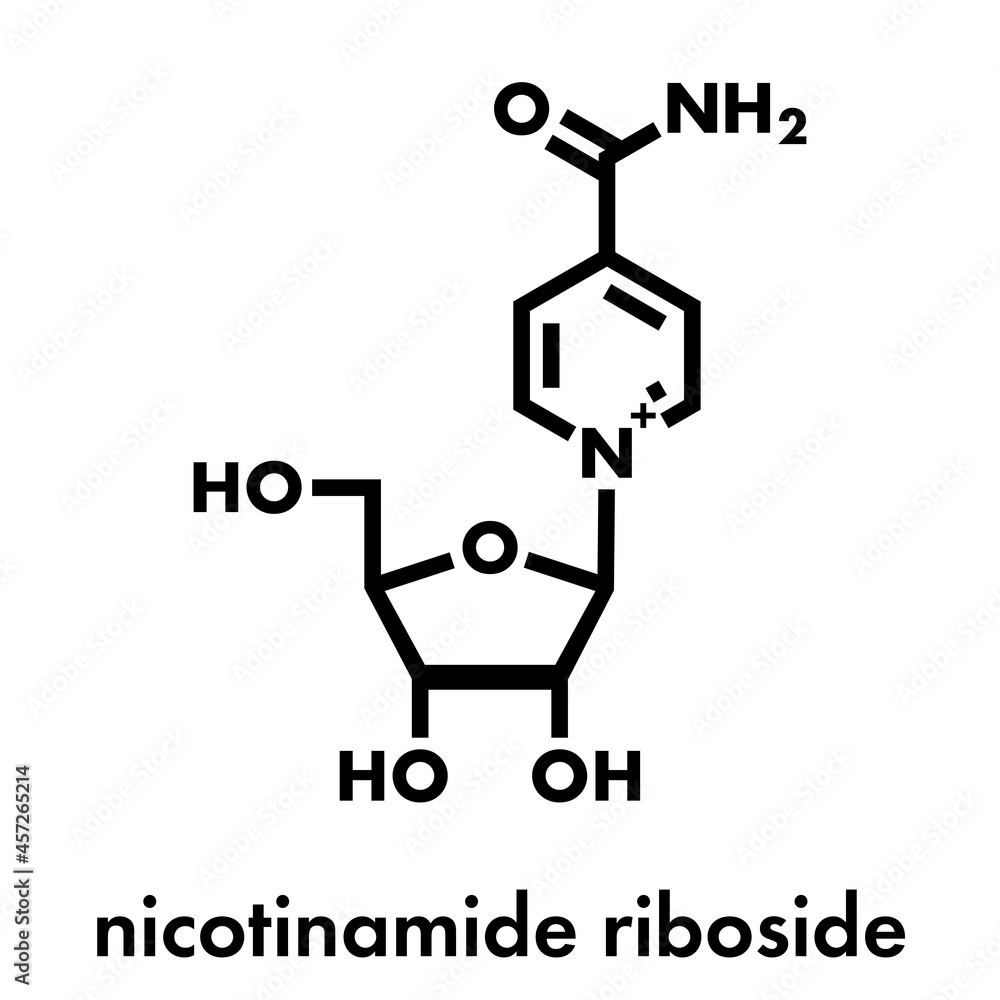 Nicotinamide riboside (NR) molecule. Precursor of nicotinamide adenine dinucleotide (NAD). Skeletal formula. Nicotinamide riboside (NR) molecule. Precursor of nicotinamide adenine dinucleotide (NAD). Skeletal formula.