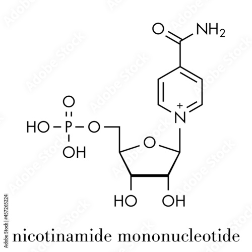 Nicotinamide mononucleotide molecule. Precursor of NAD+. Skeletal formula. photo