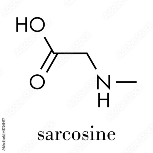 Sarcosine (N-methylglycine) molecule. Skeletal formula.