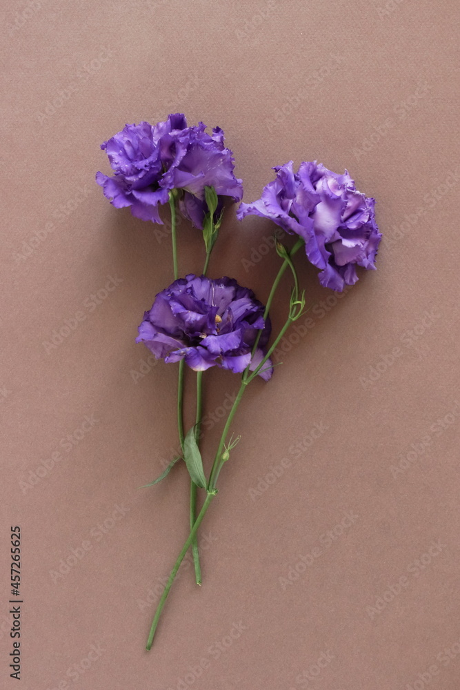Flowers background.Purple eustoma flowers top view on brown background.Floral card. Poster Flowers background.Purple eustoma flowers top view on brown background.Floral card. Poster