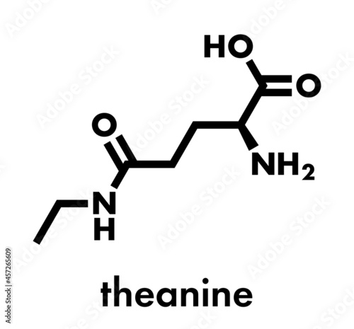 Theanine herbal molecule. Constituent of tea prepared from Camellia sinensis. Also taken as nutritional supplement. Skeletal formula. photo
