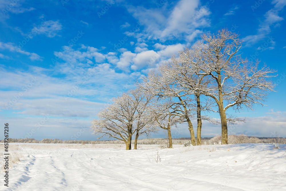 winter nature landscape at a sunny day winter nature landscape at a sunny day