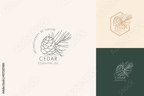 Vector linear set of botanical icons and symbols - cedar. Design logos for essential oil cedar. Natural cosmetic product.