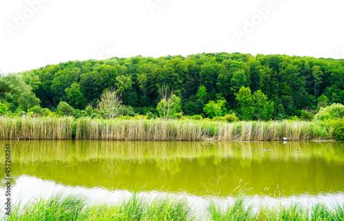 Eselsburger Tal, nature reserve in Germany. Green landscape with a lake.