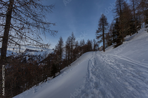 Winter evening panorama of Lastoi de Formin Peak, with curious snowballs rolled the slope in a larch forest from a path bated in the snow. Fiorentina Valley, Dolomites, Italy