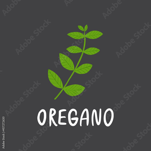 Oregano branch with lettering. Flat hand drawn italian herb for cooking isolated on dark background. Fresh green organic seasoning vector illustration.