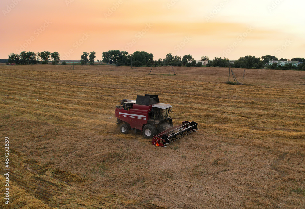 Obraz premium Combine harvester in wheat field on sunset. Agricultural machine during cutting crop. Combines during grain harvesting. Flour and bread production. Silage and hay harvesting in farmers country.