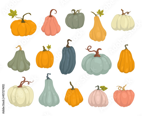 Pumpkins multicolored big set for the harvest festival drawn in a cartoon style. Kids clothing design, halloween, icon or sticker