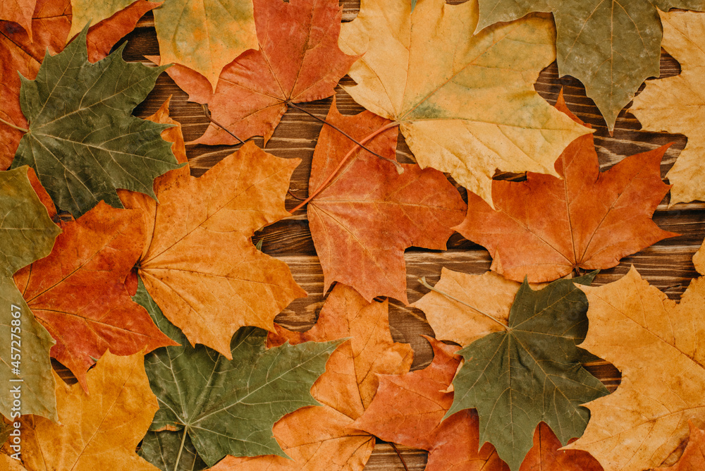 The concept of autumn backgrounds. Dry maple and acorn leaves on a wooden background with a copy of the space and a clean place for your text.