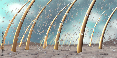 Fotografie Water drops on a close up part of skin with hair and hair roots - 3d illustratio