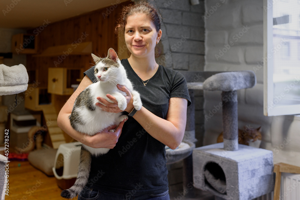 Woman Volunteer holding cat for adoption in animal shelter - obrazy, fototapety, plakaty 