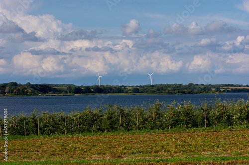 Windmills and lake