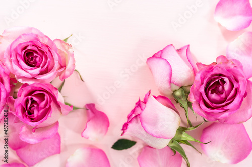 Pink roses