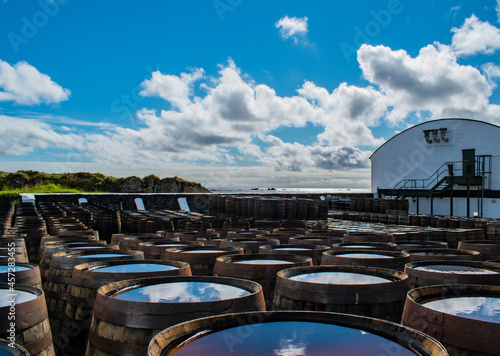 Obraz na plátně Casks and Barrels in a Whiskey distillery Islay in Scotland coast casks and barr