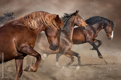 Horse herd galloping on desert