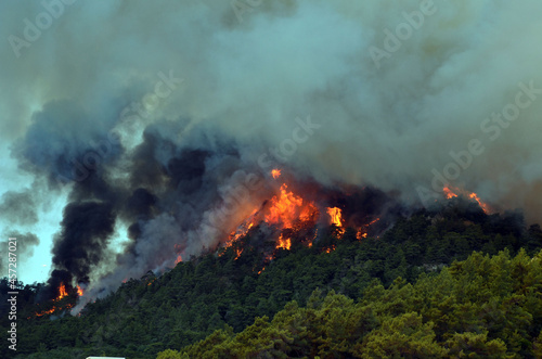 Wildfire in the forest near a resort town.Marmaris, Turkey. Summer 2021 © Sergey Kamshylin