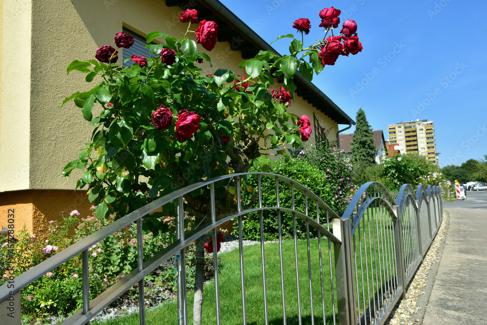 Moderner Edelstahlzaun um den eines Wohnhauses Stock Photo