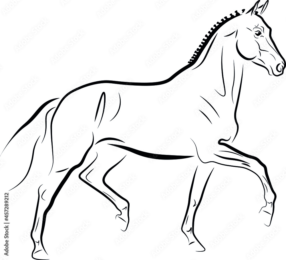 Obraz premium Horse trotting black ink vector