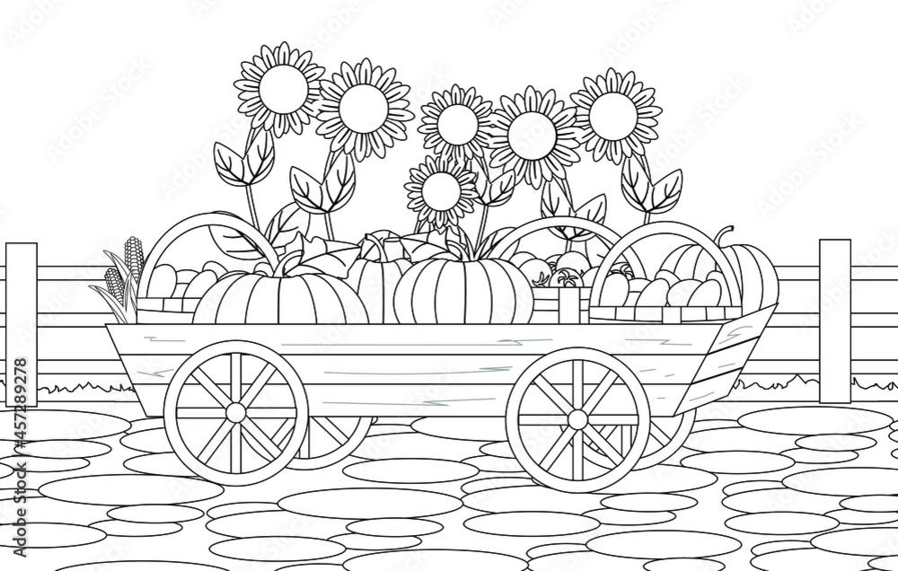Fototapeta premium Coloring book with a harvest of pumpkins, corn, tomatoes in a cart and sunflowers. Thanksgiving day. Vector illustration.