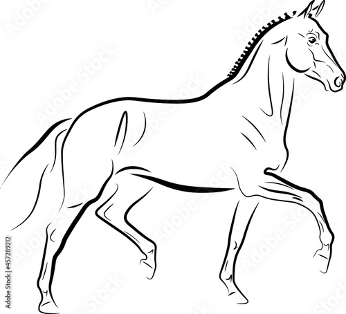 Horse trotting black ink vector