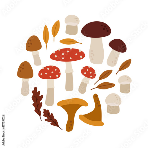 Hand-drawn set of forest mushrooms and leaves. White mushroom, chanterelle, amanita. Concept of fall, autumn, nature, forest plants, tree foliage. Colored vector illustration, isolated on white. 