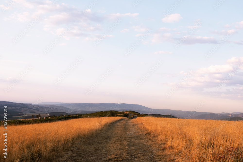 Sunset landscape in a yellow wheat field with mountains background