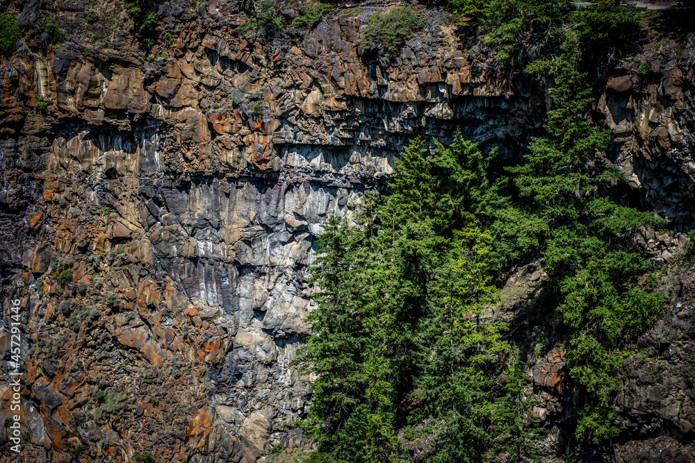 Steep cliff with trees